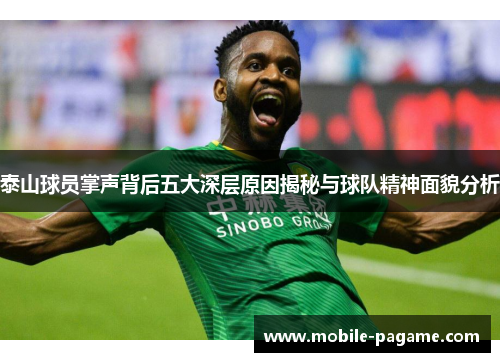 泰山球员掌声背后五大深层原因揭秘与球队精神面貌分析