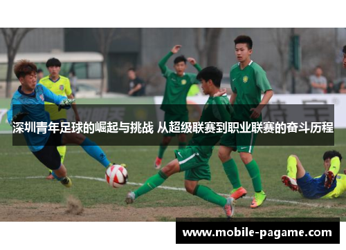 深圳青年足球的崛起与挑战 从超级联赛到职业联赛的奋斗历程