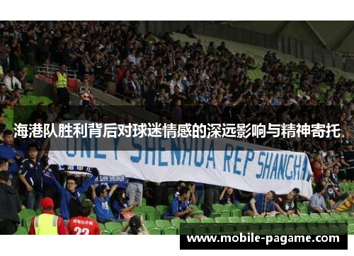 海港队胜利背后对球迷情感的深远影响与精神寄托