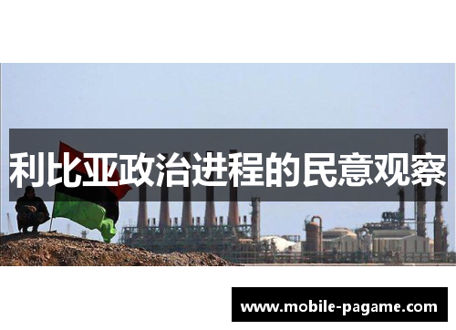 利比亚政治进程的民意观察