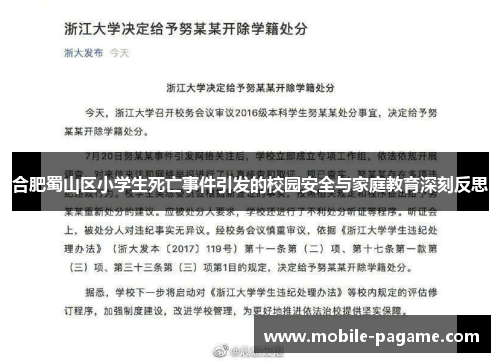 合肥蜀山区小学生死亡事件引发的校园安全与家庭教育深刻反思
