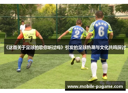 《这首关于足球的歌你听过吗》引发的足球热潮与文化共鸣探讨
