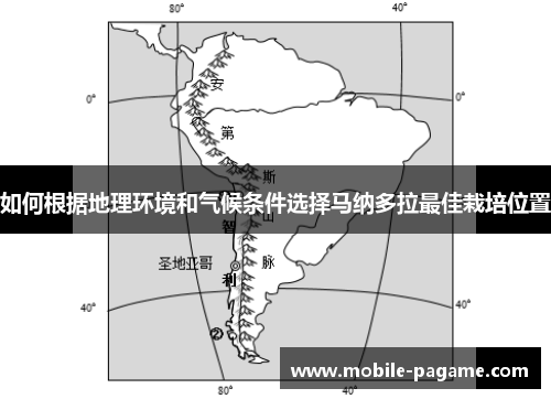 如何根据地理环境和气候条件选择马纳多拉最佳栽培位置