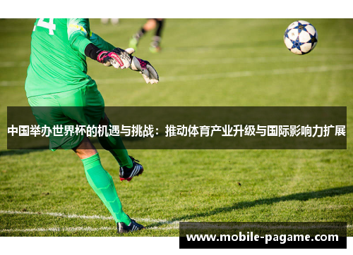 中国举办世界杯的机遇与挑战：推动体育产业升级与国际影响力扩展