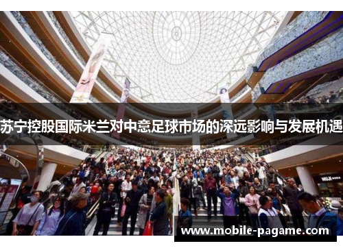 苏宁控股国际米兰对中意足球市场的深远影响与发展机遇