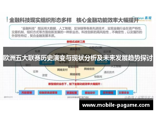 欧洲五大联赛历史演变与现状分析及未来发展趋势探讨