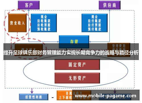 提升足球俱乐部财务管理能力实现长期竞争力的战略与路径分析